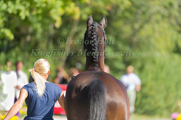 Sanna Siltakorpi and Lucky Accord