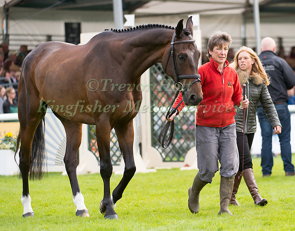 Rosalind Canter (GBR) and  Allstar B