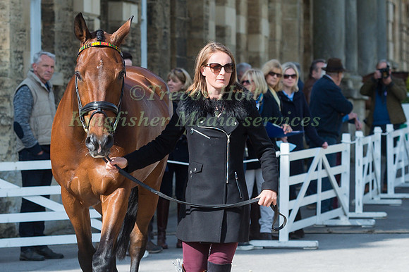 CAMILLA  KRUGER (ZIM) AND BIARRITZ II