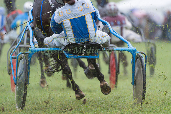 Helifield Harness Racing
