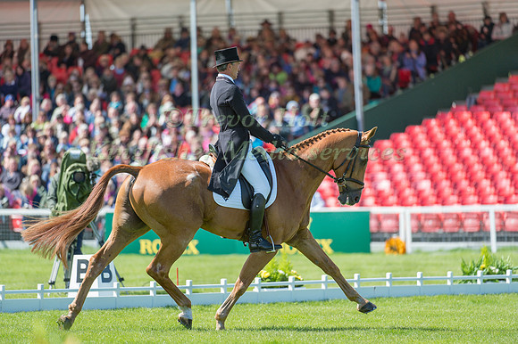 Andrew Nicholson (NZL) riding Nereo