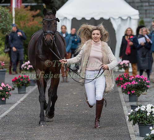 FELICITY COLLINS (GBR) AND RSH CONTEND OR