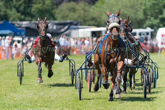 Harness racing at Helifield , Yorkshire