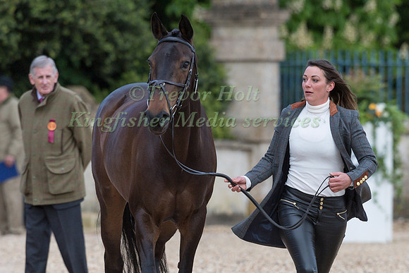 Hazel Towers (GBR) and  Simply Clover