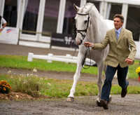 Andrew Nicholson and Mr Cruise Control