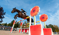 Astier Nicolas of France riding Piaf De B'Neville