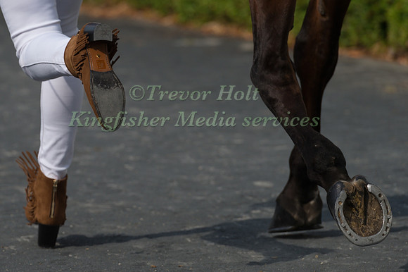 INGRID KLIMKE (GER) AND SAP HALE BOB OLD