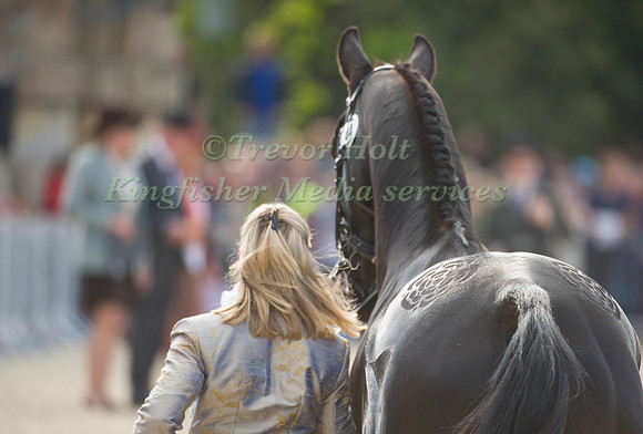 Nicola Wilson and Opposition  Buzz