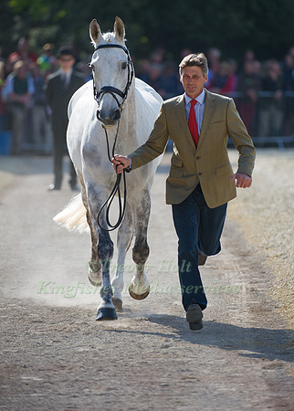 Andrew Nicholson and Avebury