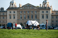 Horses Grazing in Front of Badminton House