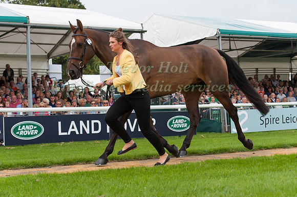 Sophie Jenman (GBR) and Geronimo at the 1st horse inspection