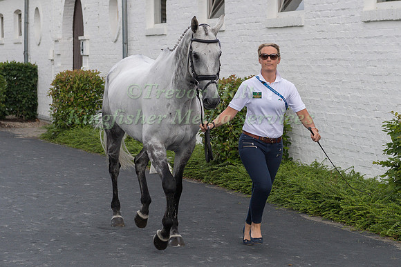 ELIZABETH POWER (IRL) AND SOLADOUN