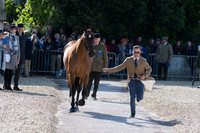 BEN HOBDAY  (GBR) AND  MULRY'S ERROR