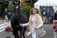 FELICITY COLLINS (GBR) ANDJUST AMAZING