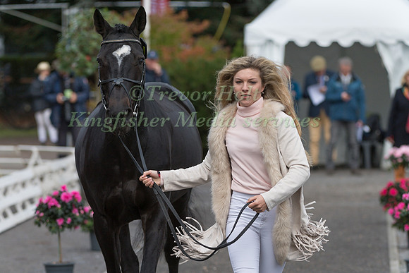 FELICITY COLLINS (GBR) ANDJUST AMAZING