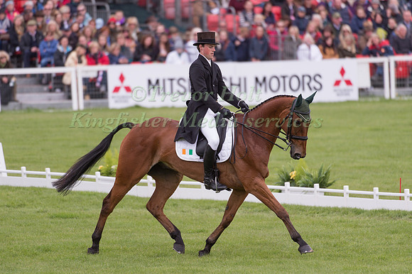 Sam Watson (IRL) riding Horseware Bushman