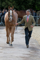 ANDREW NICHOLSON (NZL) AND  NEREO