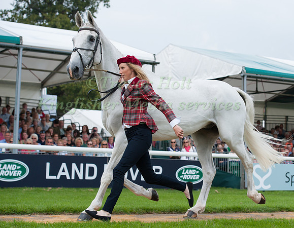 Louisa Milne Home (GBR) and King Eider at the 1st Horse Inspection