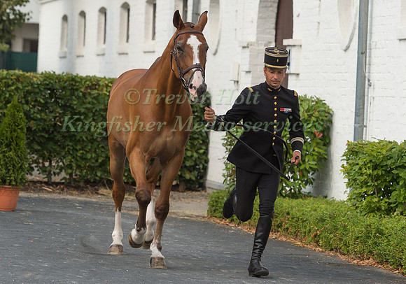 THIBAUT VALETTE (FRA) AND QING DU BRIOT ENE HN