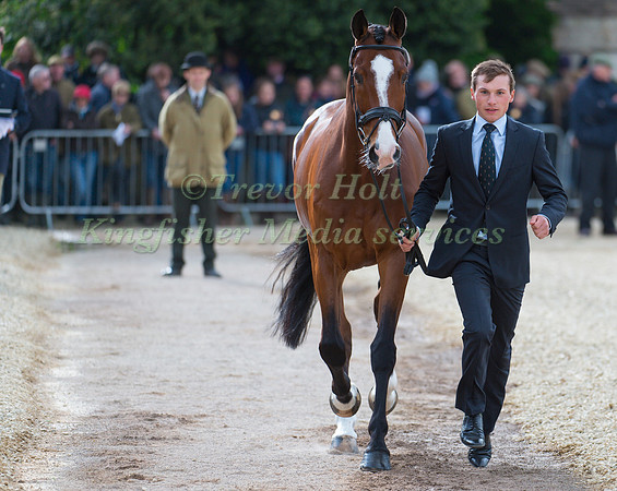Niklas Bschorer (GER) and Tom Tom Go 3