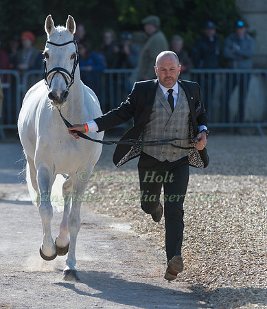 WARREN LAMPERD (AUS) AND  SILVIA