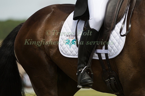 PAULIINA  SWINDELLS (FIN) AND FERRO S-2