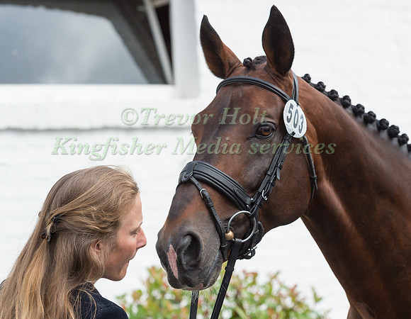 LIEDEKERKE LARA DE (BEL) AND AVEROUGE DES QUATRE CHENES