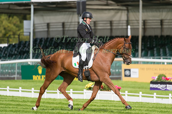 Austin O'Connor (IRL) and  Morning Venture