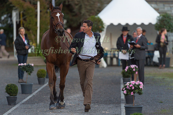 Philippe PERRIN (FRA) AND TAICHAC DE TREMAS