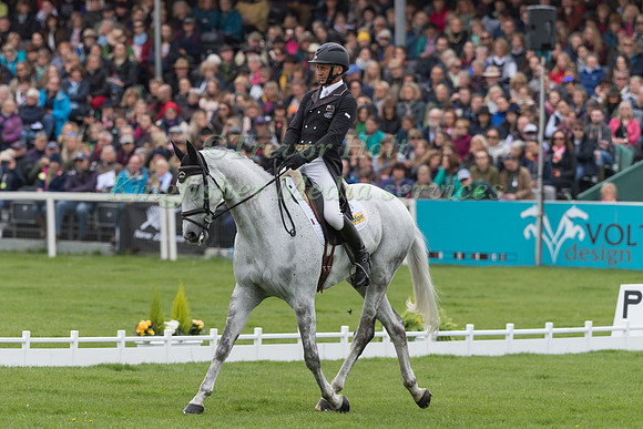 Andrew Nicholson (NZL) and  Swallow Springs
