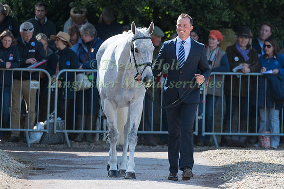 HARRY DZENIS (GBR) AND  XAM