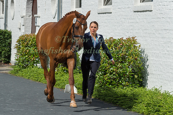 LOUISE SVENSSON JAHDE (SWE) AND WIELOCH'S UTAH SUN-2