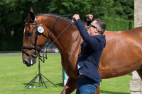 BEN HOBDAY (GBR) AND MULRYS ERROR AT THE EQUI-TREK CCI *** FINAL HORSE INSPECTION OF THE 2017 BRAMHAM INTERNATIONAL HORSE TRIALS