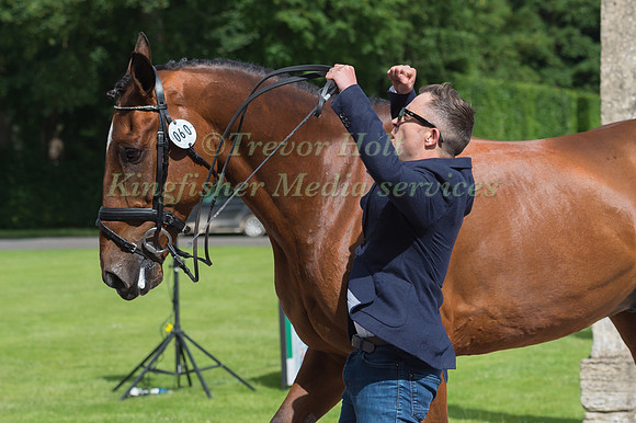 BEN HOBDAY (GBR) AND MULRYS ERROR AT THE EQUI-TREK CCI *** FINAL HORSE INSPECTION OF THE 2017 BRAMHAM INTERNATIONAL HORSE TRIALS