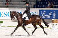 Paul Tapner and Stormhill Michael
