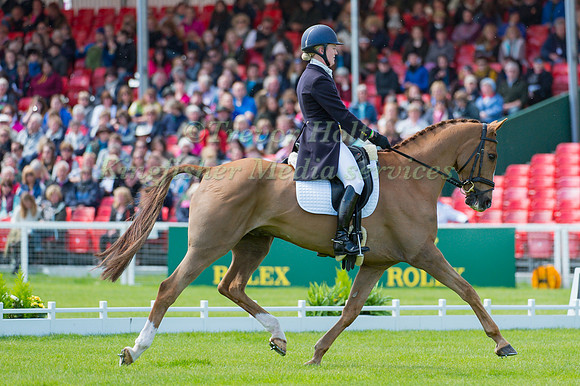 Clare Abbott (IRL) riding Euro Prince