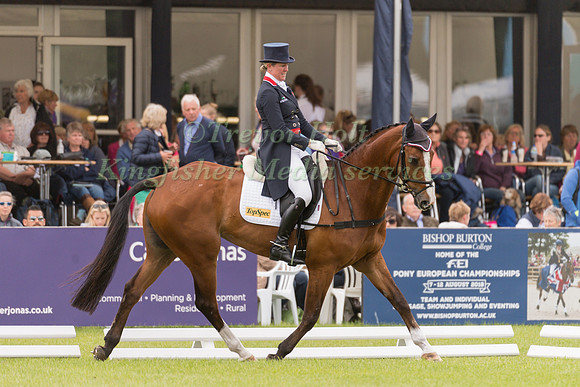 NICOLA WILSON (GBR) AND ONE TWO MANY TAKING PART IN THE DRESSAGE PHASE OF THE  CCI THREE STAR COMPETITION AT THE 2017 EQUI-TREK BRAMHAM INTERNATIONAL HORSE TRIALS