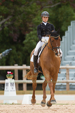 Amanda Brieditis (SWE) riding Boleybawn Fernhill
