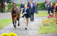 Oliver Townend and ODT Sonas Roviatio