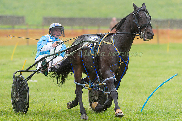 Helifield Harness Racing