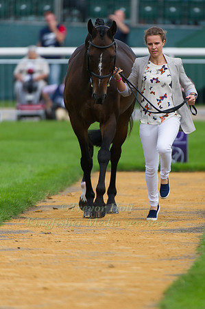 Polly Jackson, (GBR) and Highland Charm at the 1st horse inspection