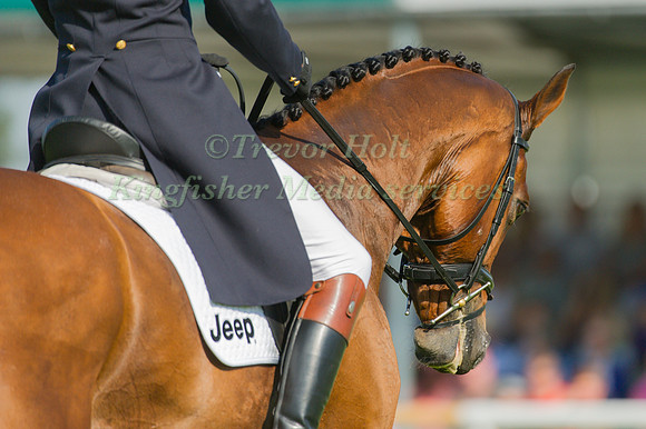 William Fox-Pitt and Neuf Des Coeurs