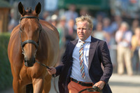 Andrew Heffernan and  Millthyme Corolla