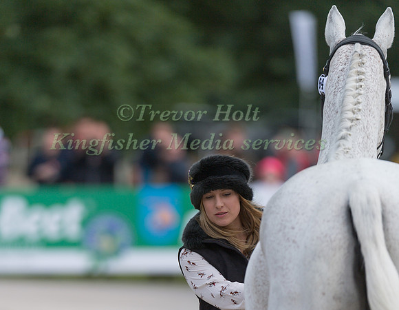 FRANKY REID-WARRILOW (GBR) AND WITH LOVE AT THE EQUI-TREK CCI *** FINAL HORSE INSPECTION OF THE 2017 BRAMHAM INTERNATIONAL HORSE TRIALS