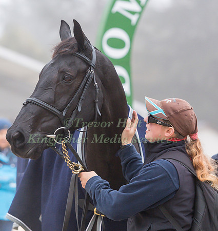 OLIVER TOWNEND (GBR) AND CILLNABRADDEN EVO