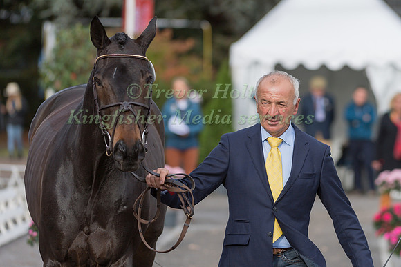 ELMAR LESCH (GER) AND ROUGH DIAMOND