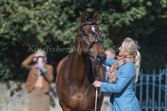 LISSA GREEN  (GBR) AND  HOLLYFIELD