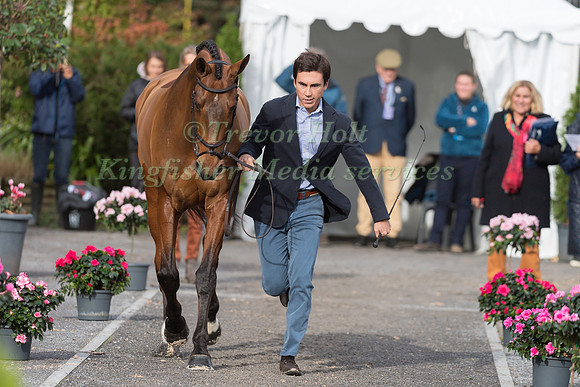 GONZALO BLASCO BOTIN (FRA) AND SIJ VEUX D'AUTIZE