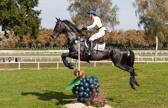 Kathryn Robinson and Let it Bee