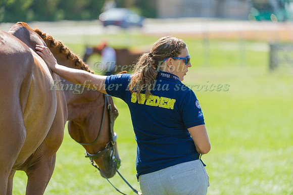 Waiting for Trot Up